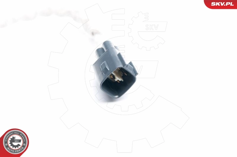 Oxygen Sensor